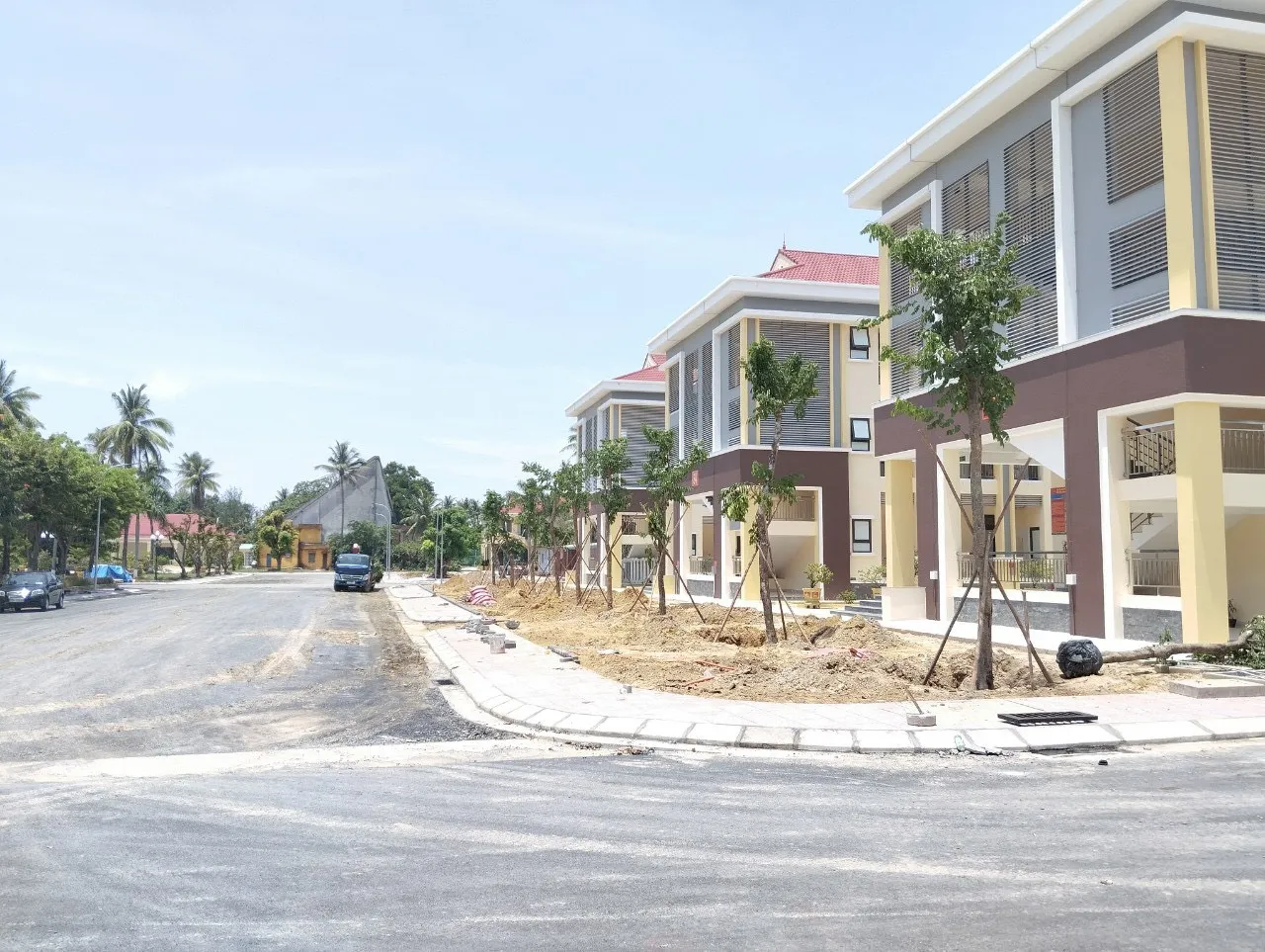 cây báng mát đà nẵng