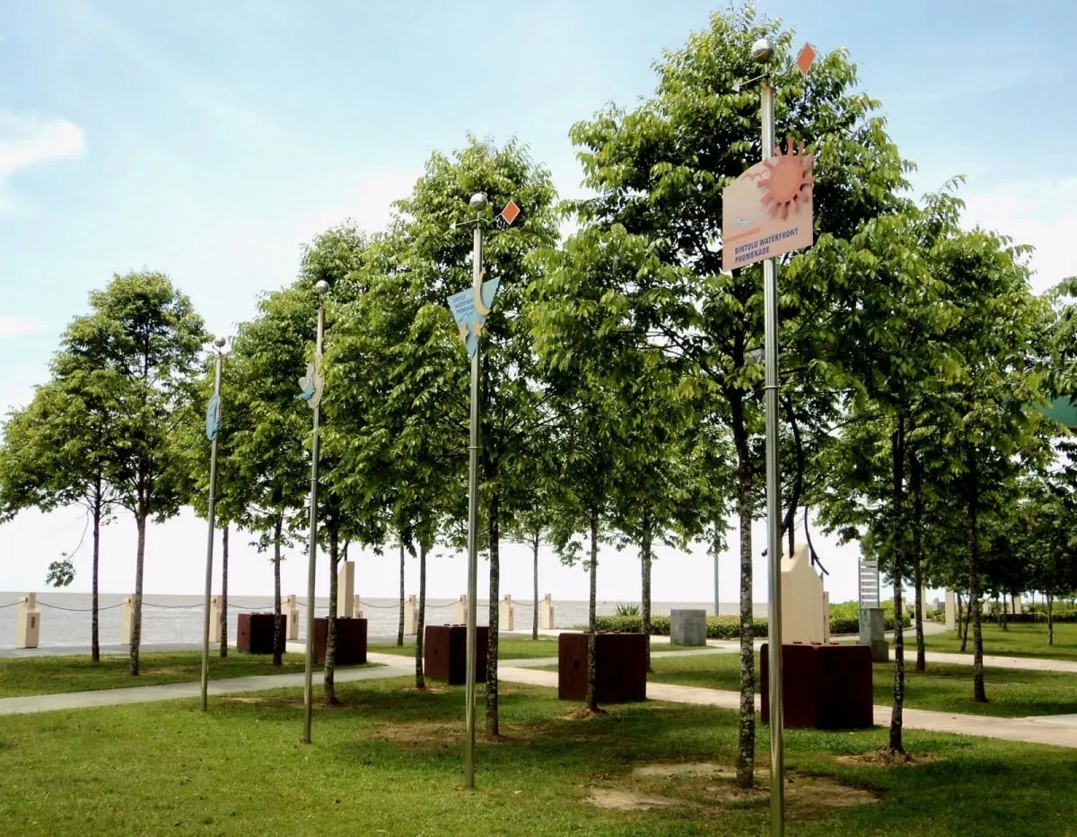 cây công trình á»Ÿ Ä‘Ã  náºµng