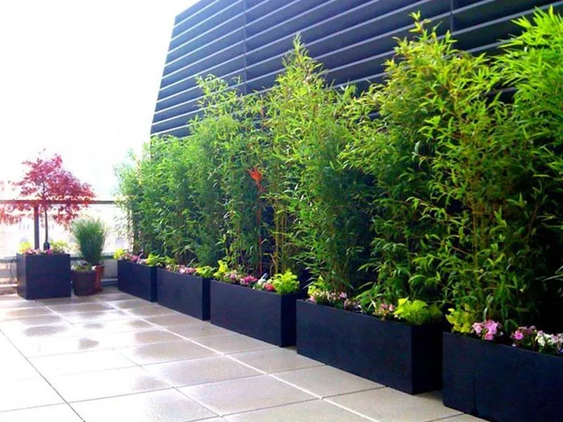 Mẫu chậu đá mài chữ nhật đen sang trọng cho resort