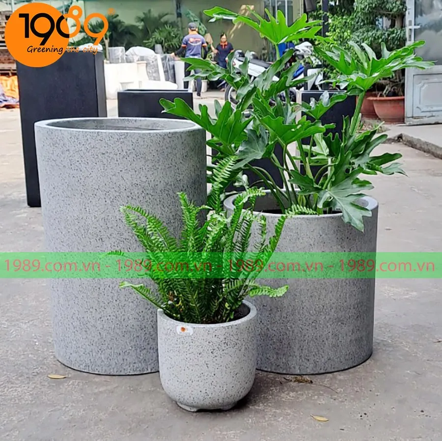 Combo 3 chậu xi măng trụ tròn màu xám