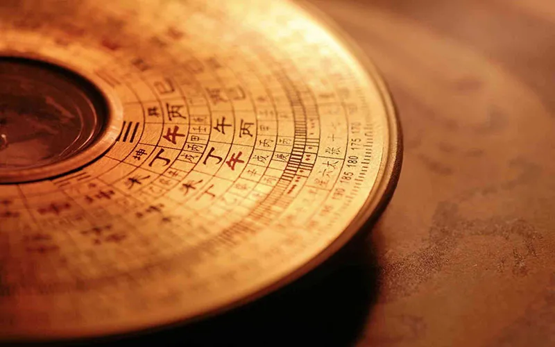 Địa sinh học - Nền tảng quan trọng trong việc xây dựng hệ sinh thái công trình bền vững