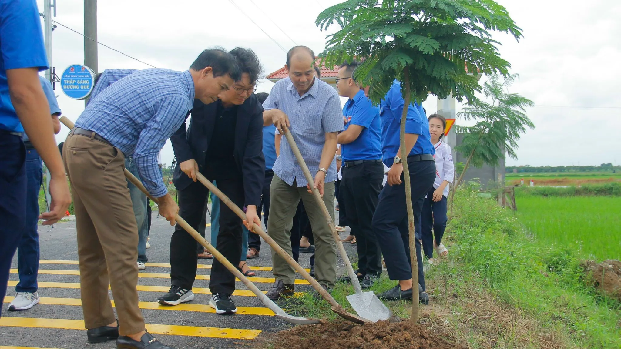 Trồng cây xanh bảo vệ môi trường dọc tuyến công trình thanh niên cấp xã