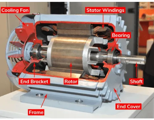 Động cơ cảm ứng xoay chiều AC - Giải pháp truyền động phổ biến nhất