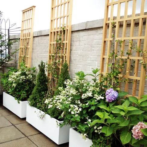 Thiết kế không gian sân thượng với chậu xi măng đúc sẵn hiện đại