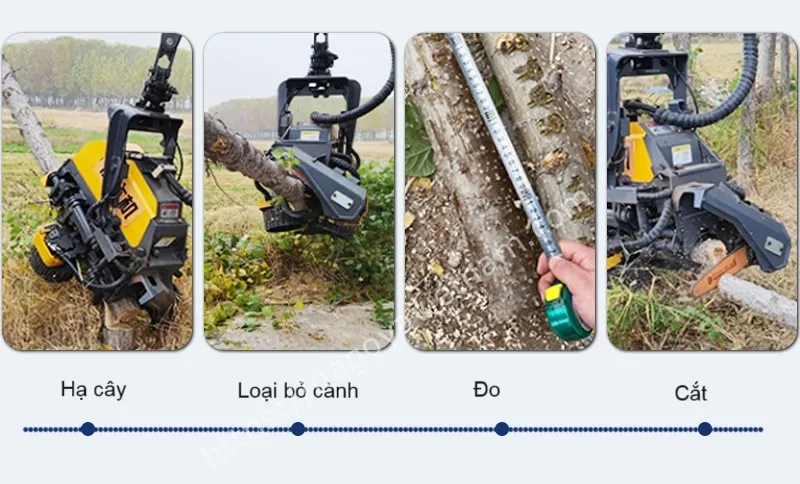 Thử nghiệm thực tế máy khai thác gỗ hiện đại tại nhà máy lắp ráp cơ giới hóa