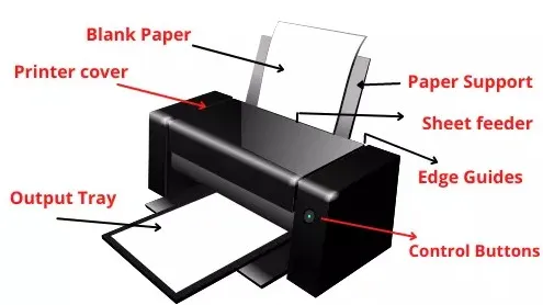 Chi tiết cấu tạo phần cứng máy in và cơ chế nạp giấy