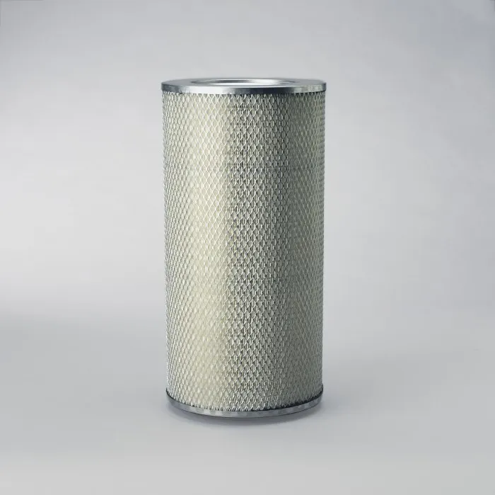 Lọc gió ngoài P182070