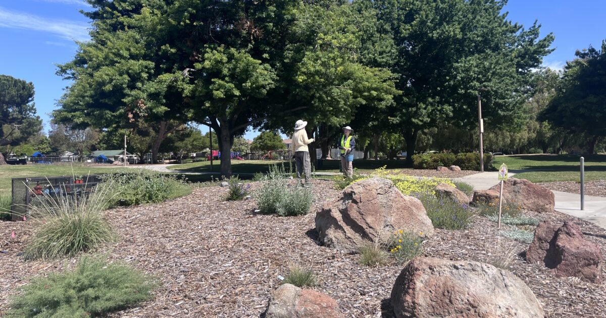 Báo Giá Máy Cắt Bê Tông Chi Tiết & Cập Nhật Mới Nhất 2024