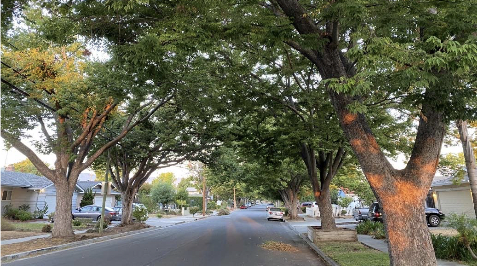 Các Loại Máy Ép Cọc Bê Tông Phổ Biến và Tiêu Chí Lựa Chọn