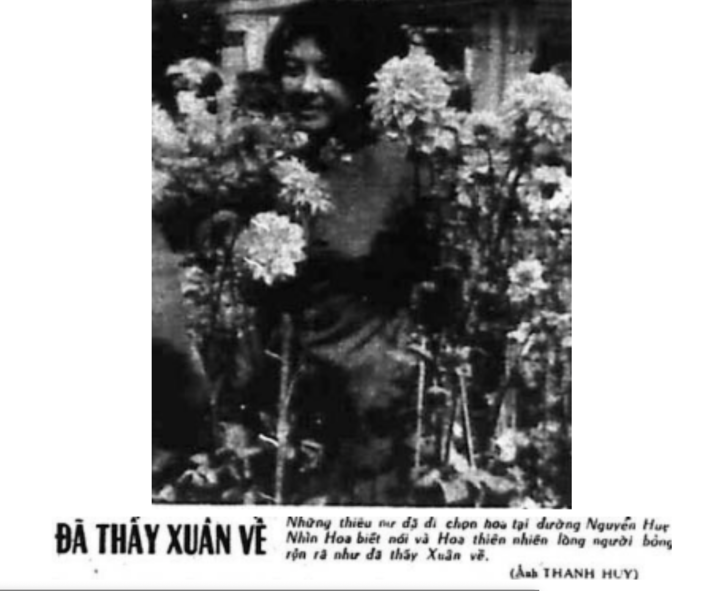 Báo Giá Ép Cọc Bê Tông Tại Hoàng Mai: Chi Tiết Dịch Vụ & Thi Công