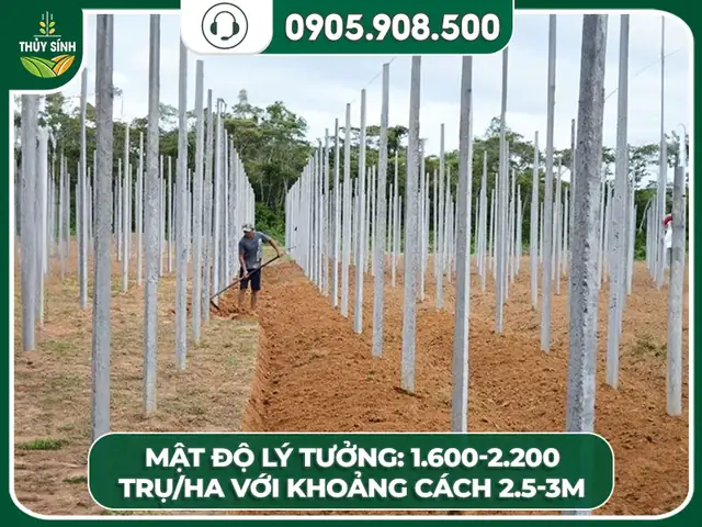 Tiêu Chuẩn Khoan Cấy Thép Vào Bê Tông: Hướng Dẫn Chi Tiết Từ A-Z