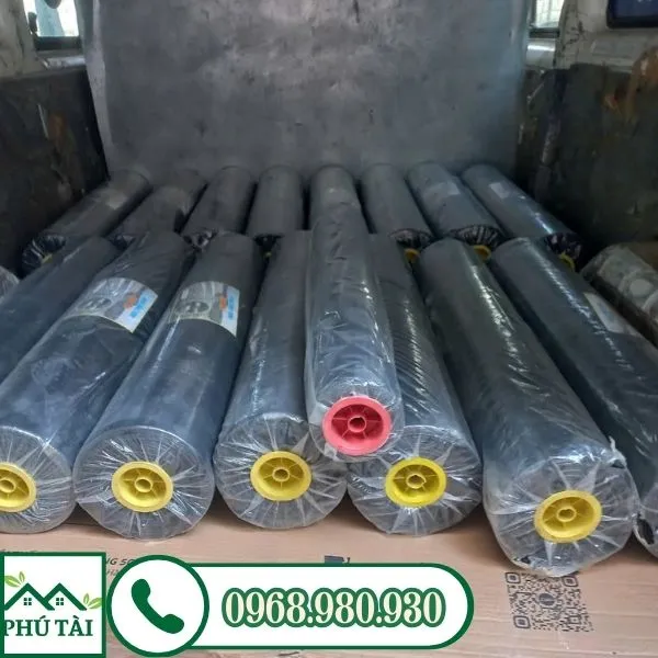 Cung cấp nilon lót sàn tới chân công trình