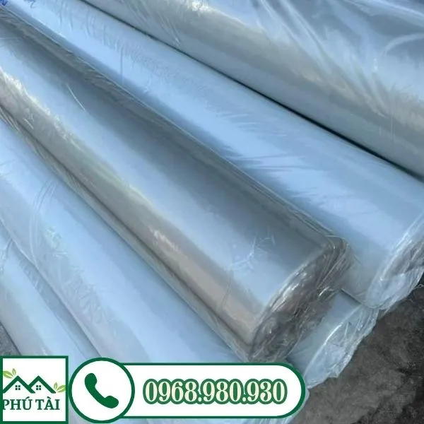 cuộn màng công trình