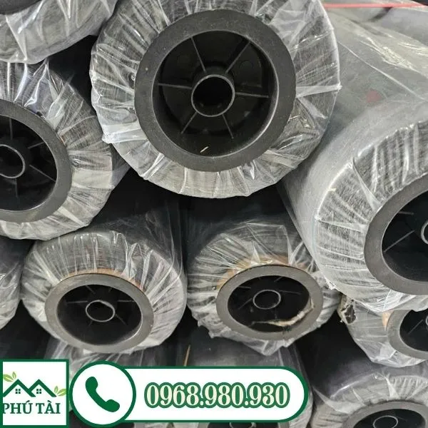 Cuộn nilon lót sàn đổ bê tông