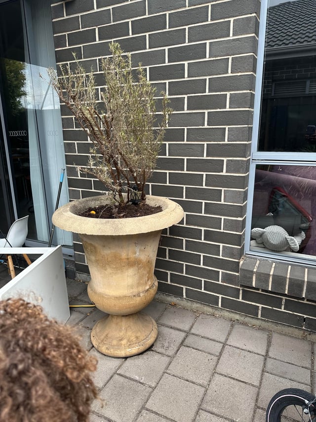 Bê Tông Tươi Bao Lâu Thì Khô: Hướng Dẫn Chi Tiết Từ Chuyên Gia