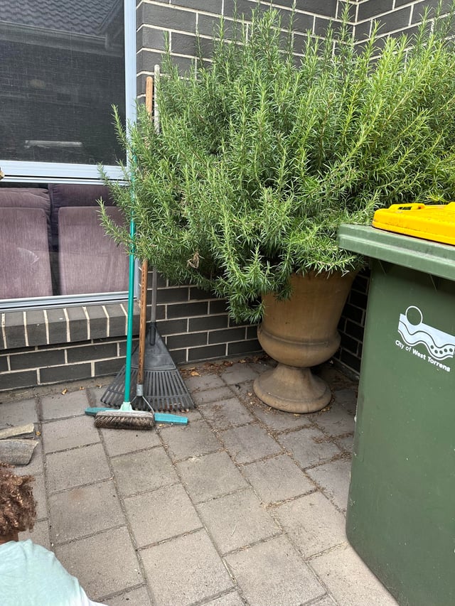 Bê Tông Tươi Bao Lâu Thì Khô: Hướng Dẫn Chi Tiết Từ Chuyên Gia