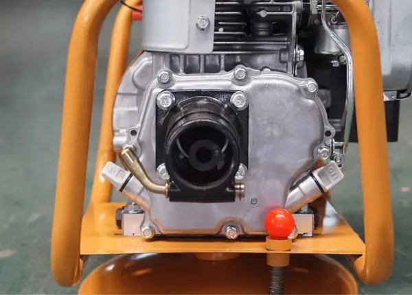 Máy đầm dùi chạy xăng EY20