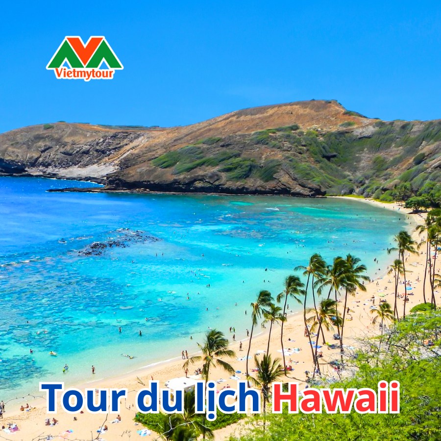 Giá Đóng Cọc Bê Tông TP. HCM: Bảng Giá Chi Tiết & Dịch Vụ Trọn Gói 2024