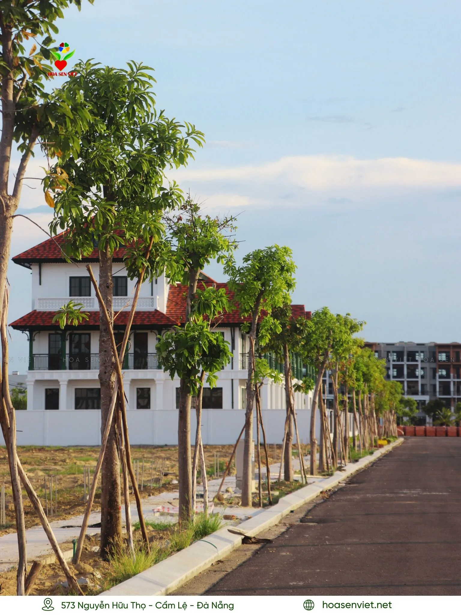 cây công trình đà nẵng đẹp