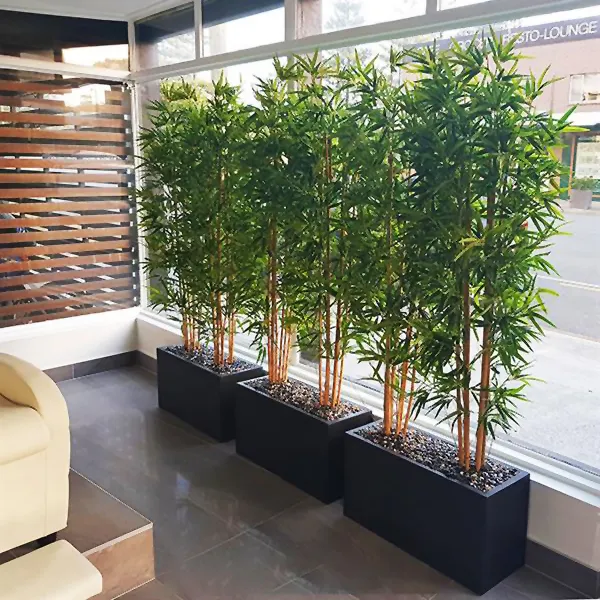 Chậu xi măng nhẹ hình chữ nhật trồng cây tre cảnh tại công trình