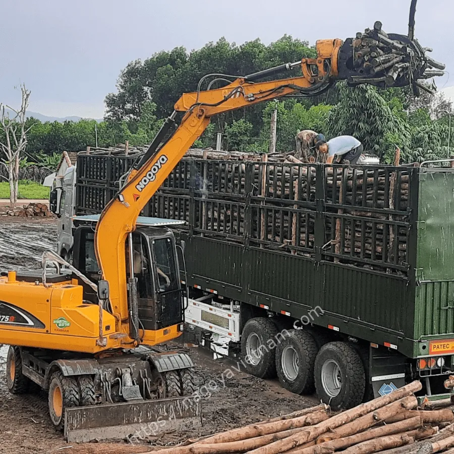 Hướng dẫn thợ vận hành hiểu rõ bằng lái máy xúc là bằng gì để đảm bảo tính pháp lý